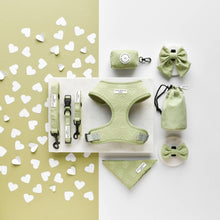 Cocopup London – LUXE Dog Collar – Sage Heart