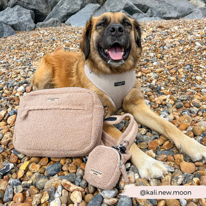 Cocopup London – Dog Walking Bag – Teddy Rupert