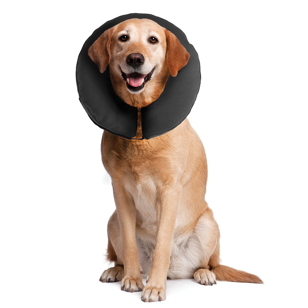ZenPet – ZenCollar – Comfortable Recovery Collar