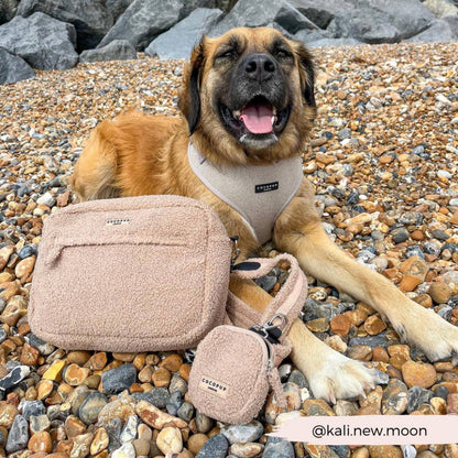 Cocopup London – Zip Treat Pouch – Teddy Rupert