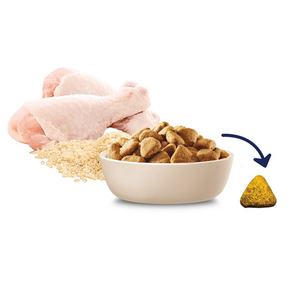 Advance - Adult Dog - Large Breed - Mobility - 13kg
