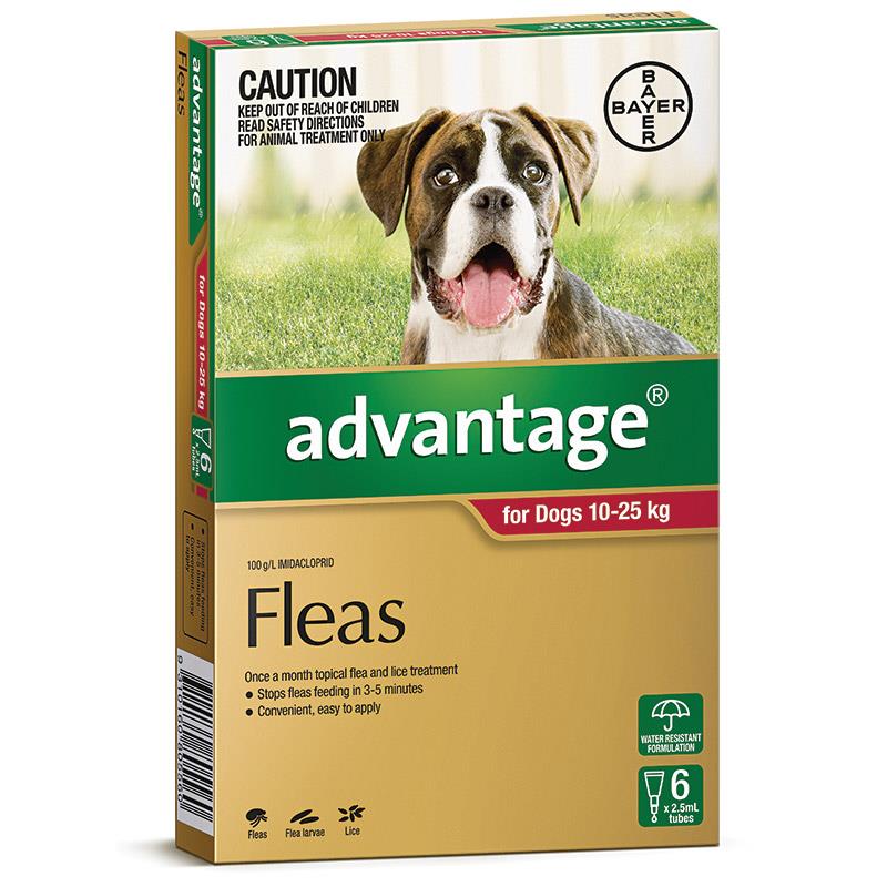Advantage - Fleas - Dogs 10kg To 25kg (6 X 2.5ml Tubes)