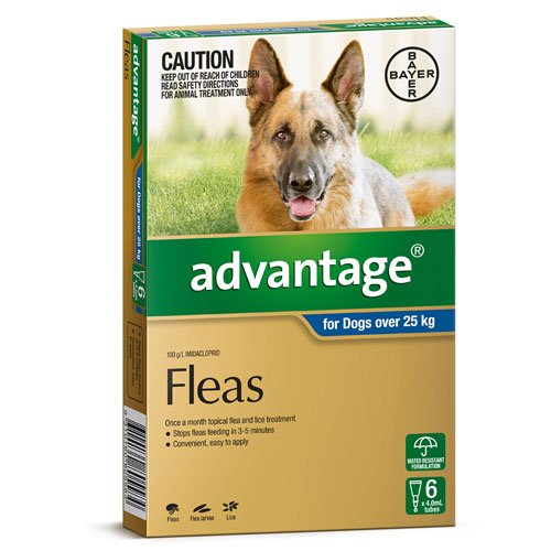 Advantage - Fleas - Dogs over 25kg (4 x 4.0ml Tubes)
