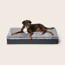Snooza – Big Dog Bed