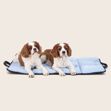 Snooza – Cooling Travel Mat