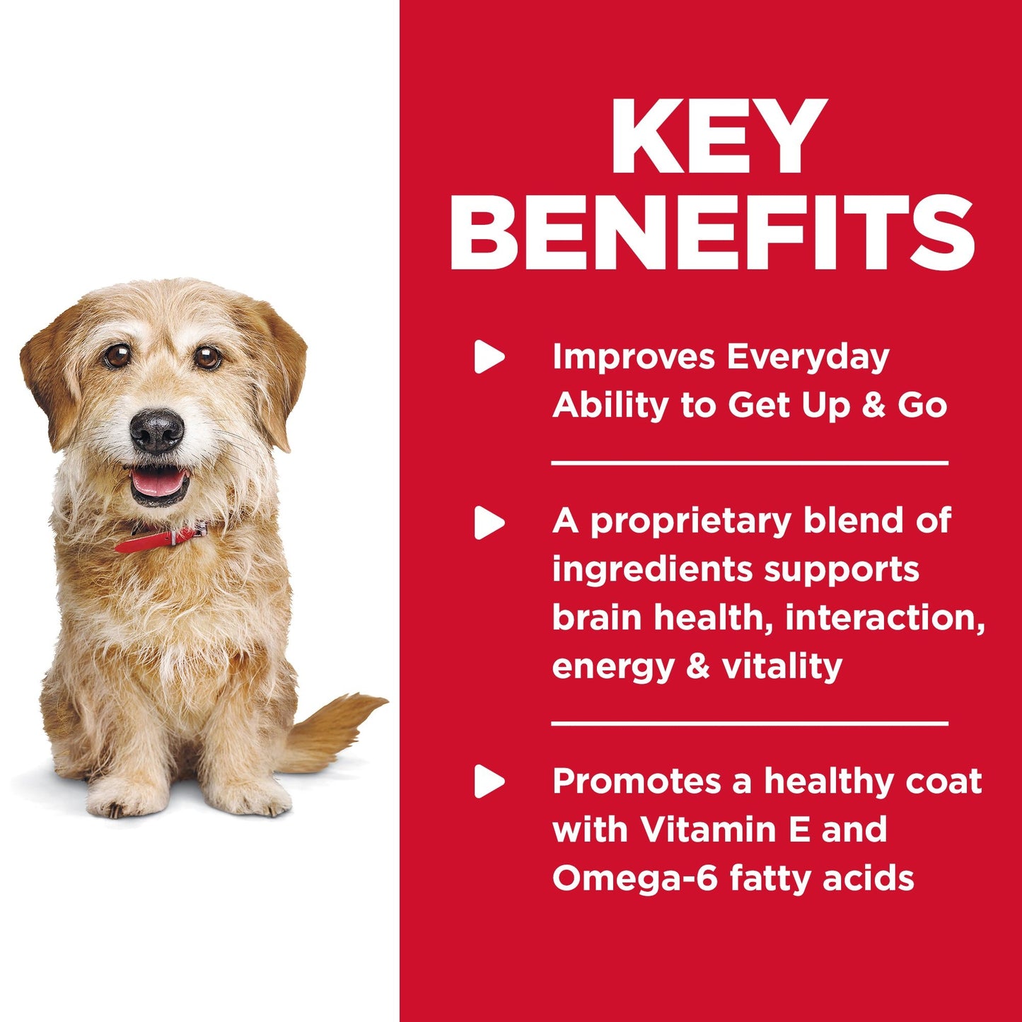 Hill's - Science Diet - Adult Dog Dry Food (7+) - Senior Vitality - Small & Mini - 1.58kg