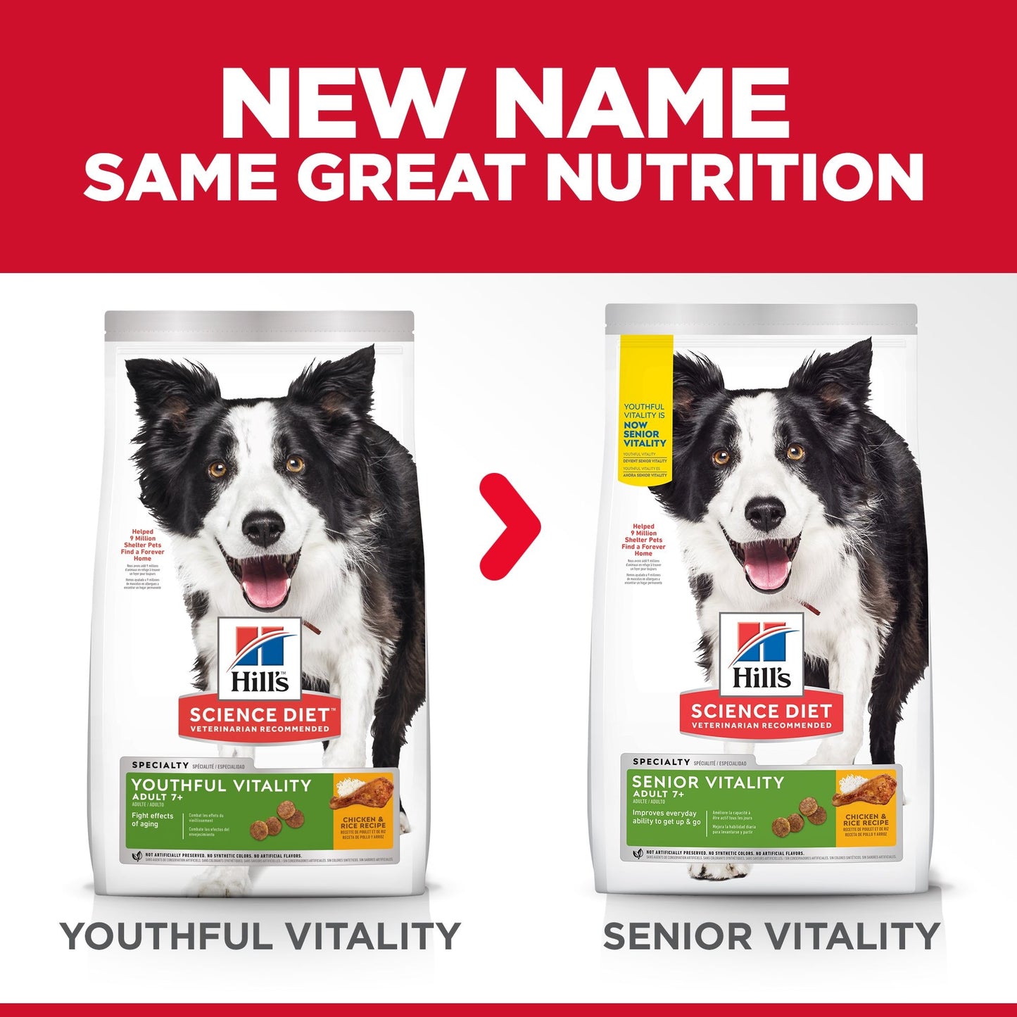 Hill's - Science Diet - Adult Dog (7+) - Senior Vitality - 5.67kg
