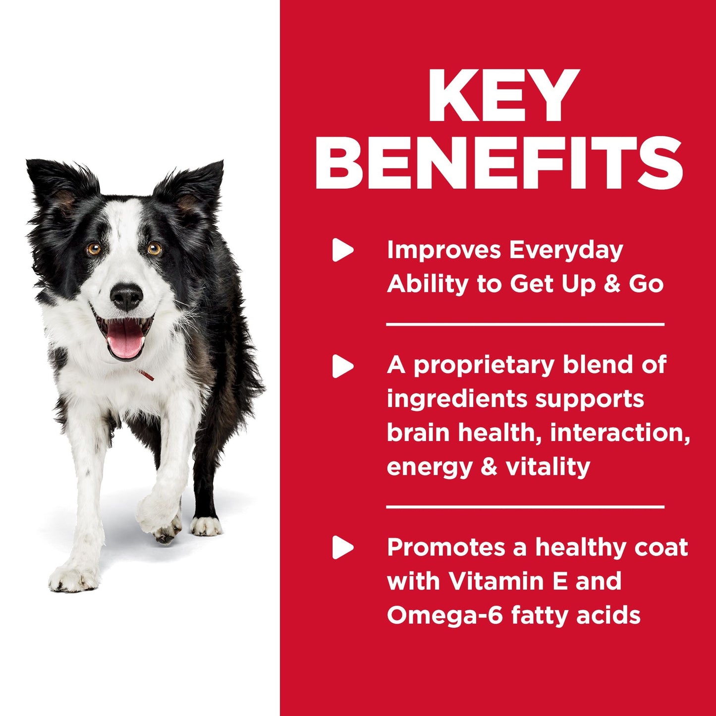Hill's - Science Diet - Adult Dog (7+) - Senior Vitality - 5.67kg
