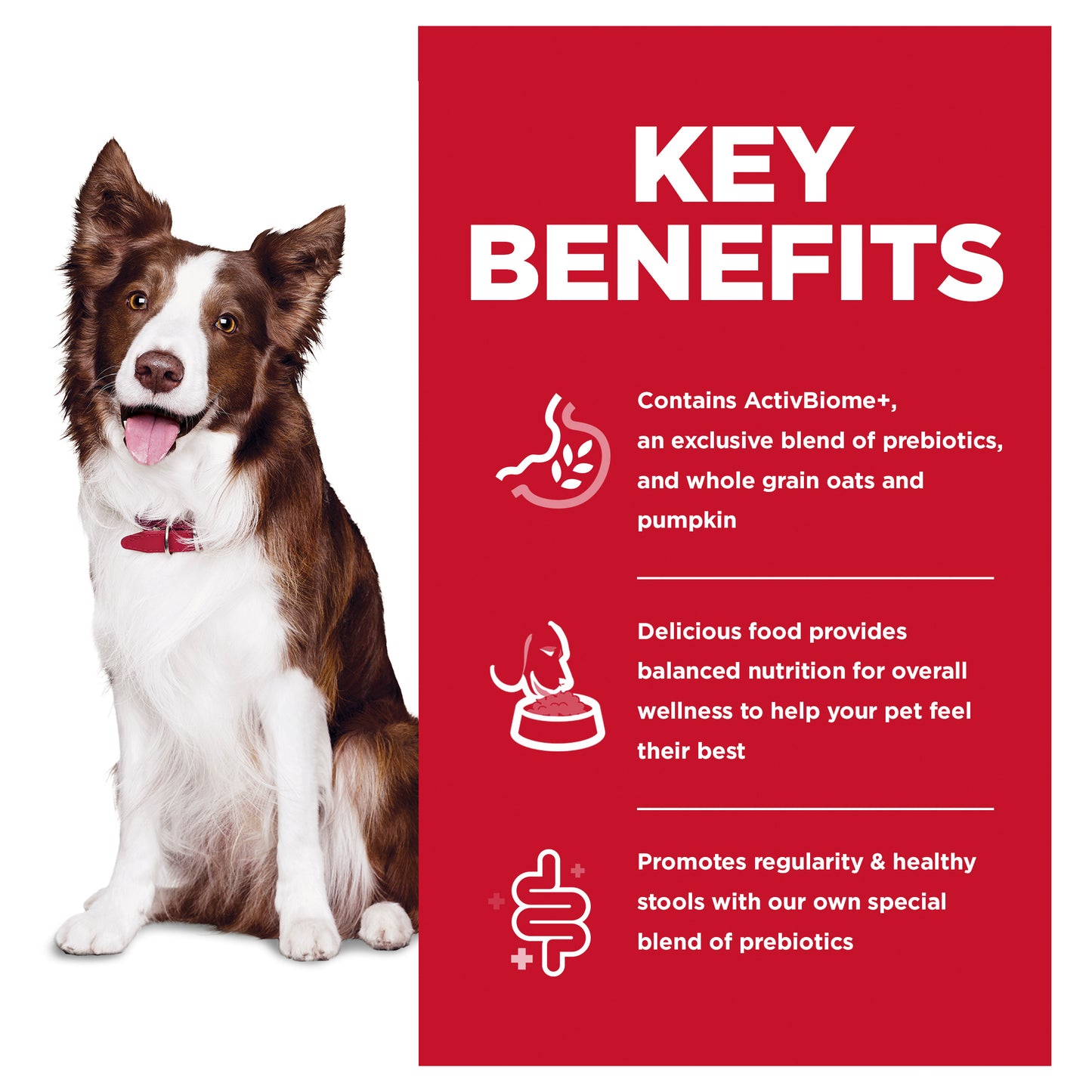 Hill's - Science Diet - Adult Dog Dry Food (1-6) - Perfect Digestion -1.59kg