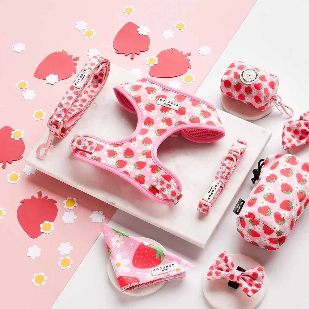 Cocopup London – Dog Collar – Pupberry Fields