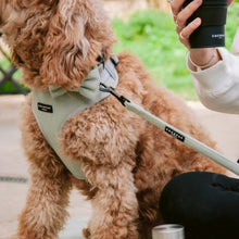 Cocopup London – Dog Collar – Sage Tweed