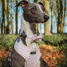 Cocopup London – Dog Collar – Daisy Chain