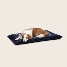 Snooza – Organic Pet Futon – Blue