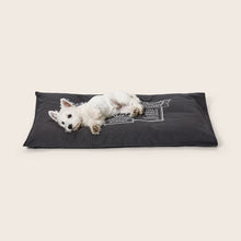 Snooza – Organic Pet Futon – Charcoal