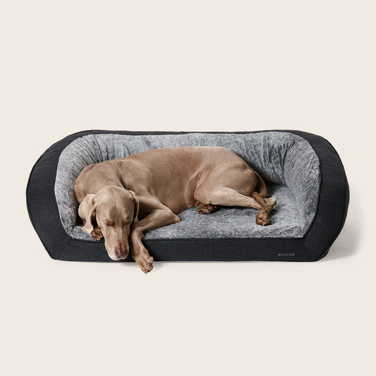 Snooza – Ortho Sofa Chinchilla