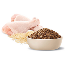 Advance – Adult Dog – Small Breed – Chicken