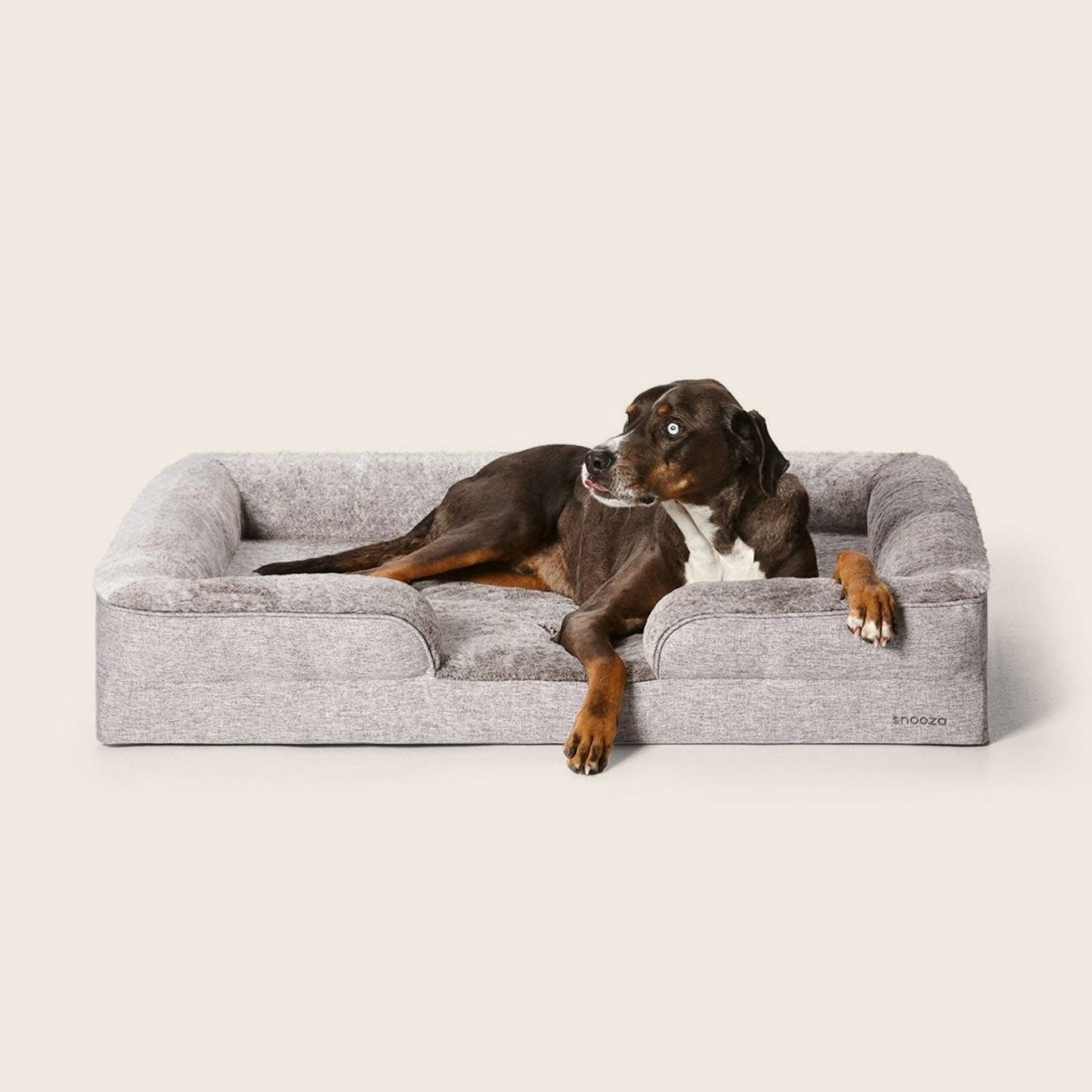 Snooza – Ultra Luxe Retreat – Husky