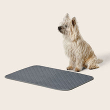 Snooza – Washable Pee Pad - 2 Pack