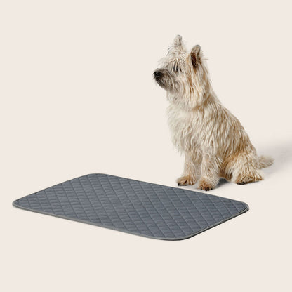 Snooza – Washable Pee Pad - 2 Pack