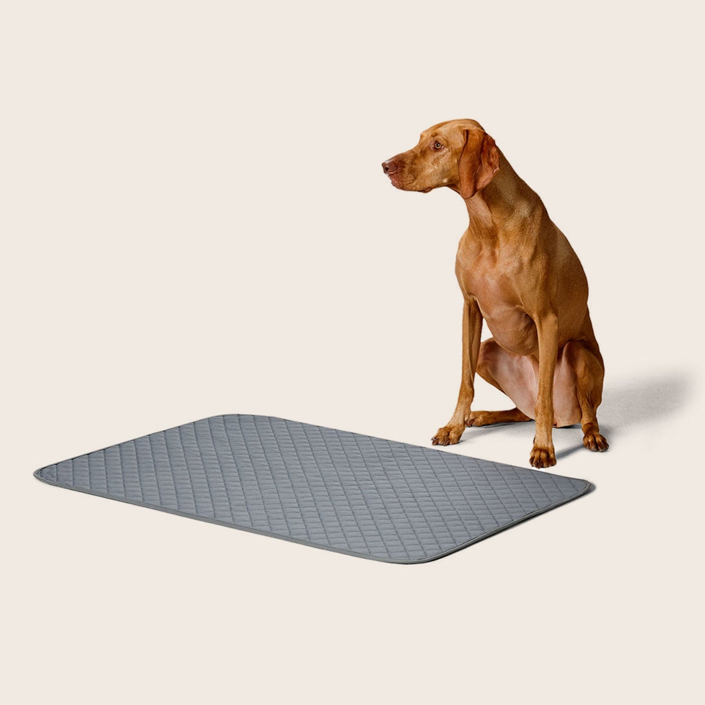 Snooza – Washable Pee Pad - 2 Pack