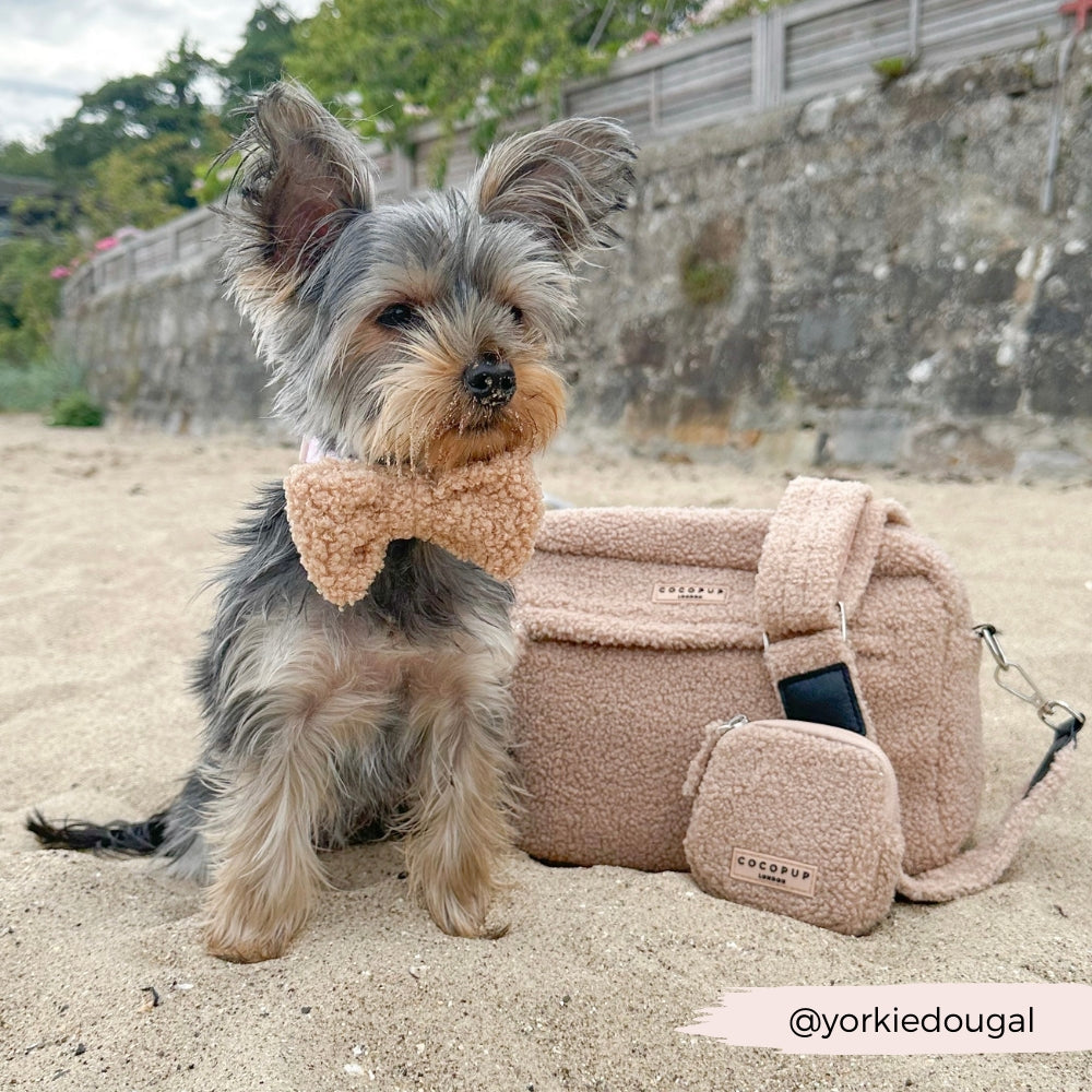 Cocopup London – Dog Walking Bag – Teddy Rupert