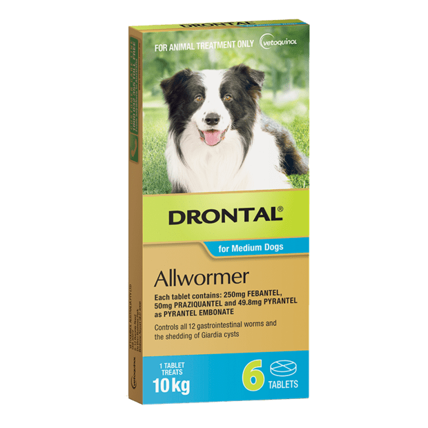 Drontal - Allwormer - Medium Dogs - 6 Tablets