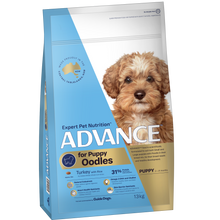 Advance – Puppy – Oodles