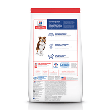Hill’s – Science Diet – Adult Dog – (7+)